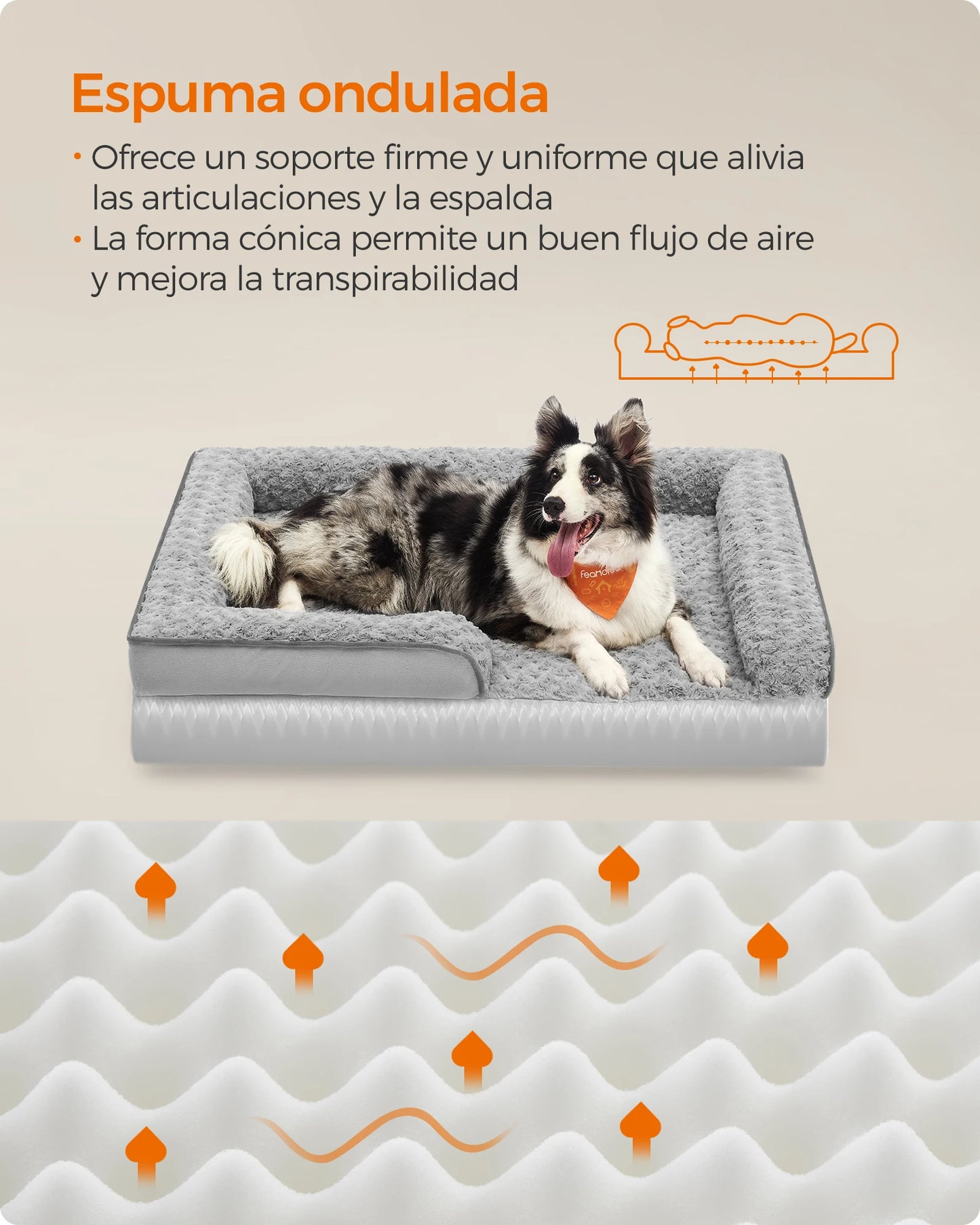 Cama Ortopédica