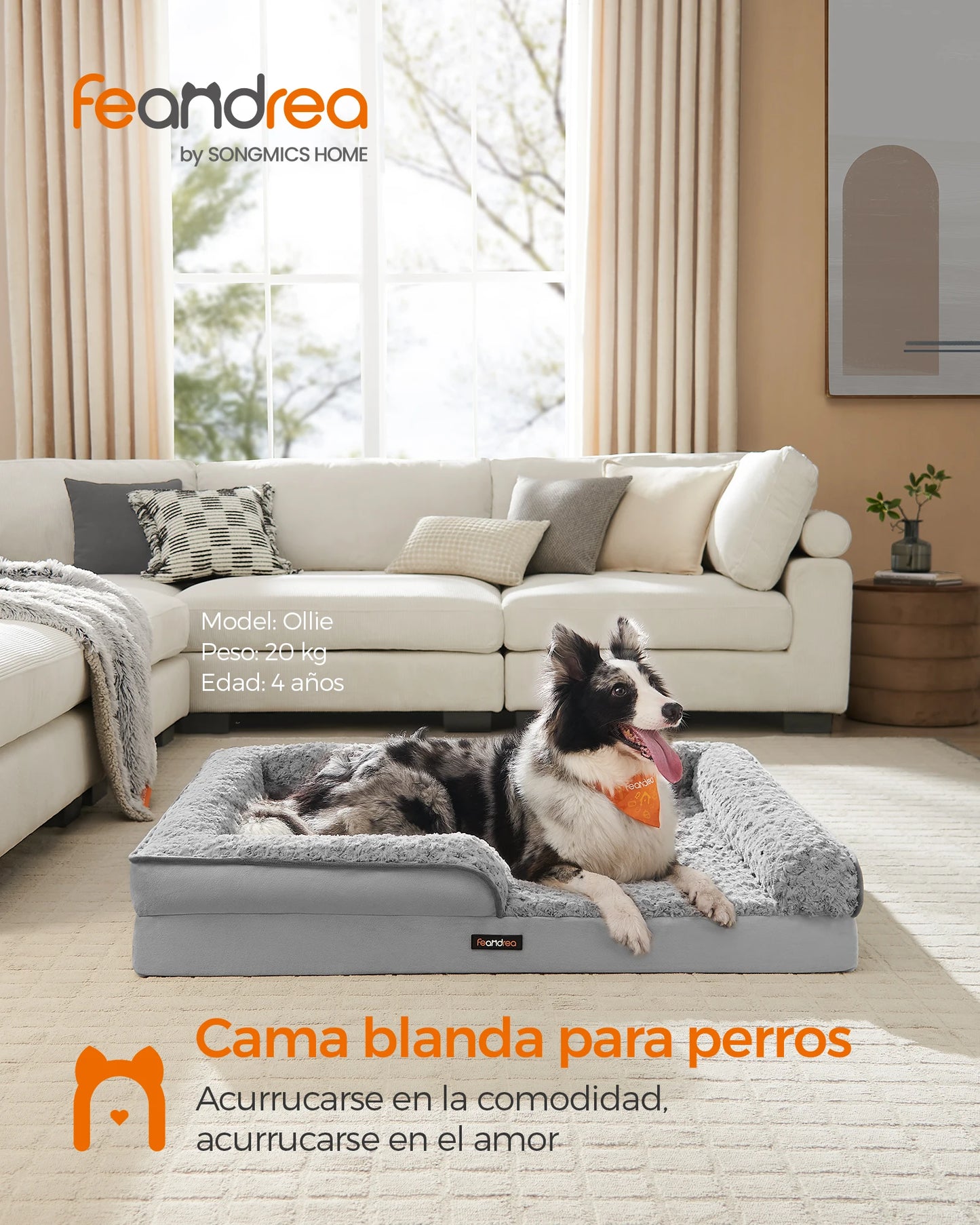Cama Ortopédica